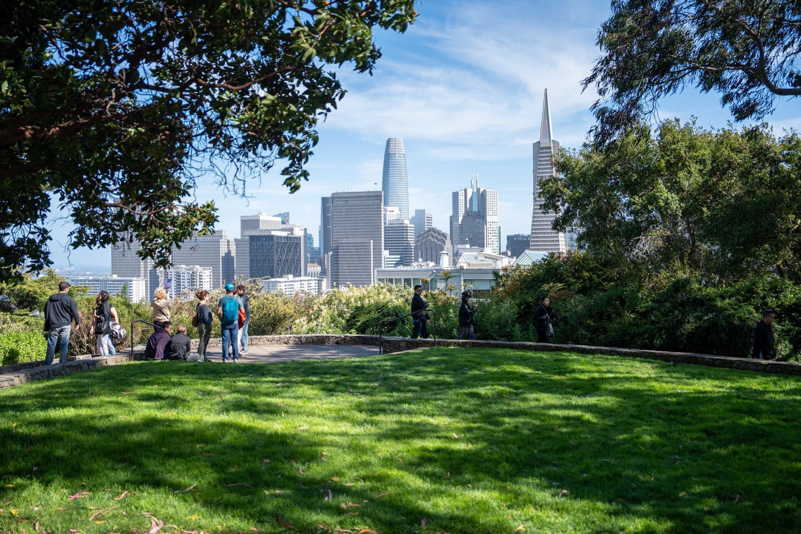 Skyline Views