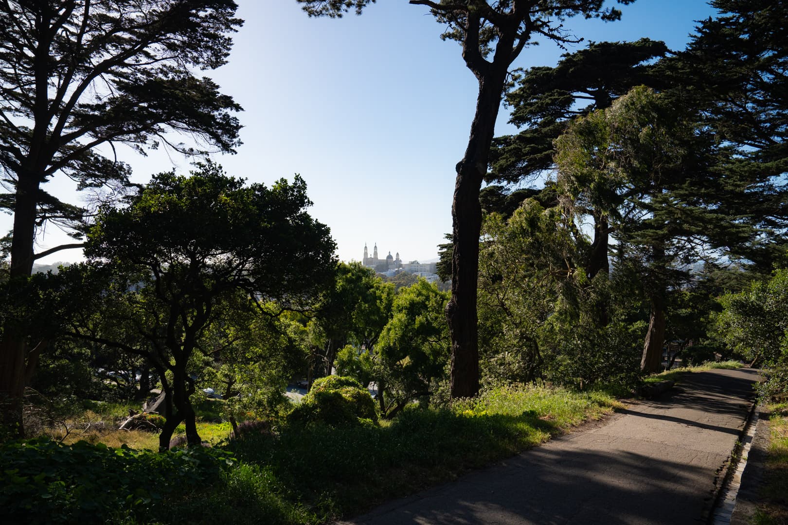 Buena Vista Park