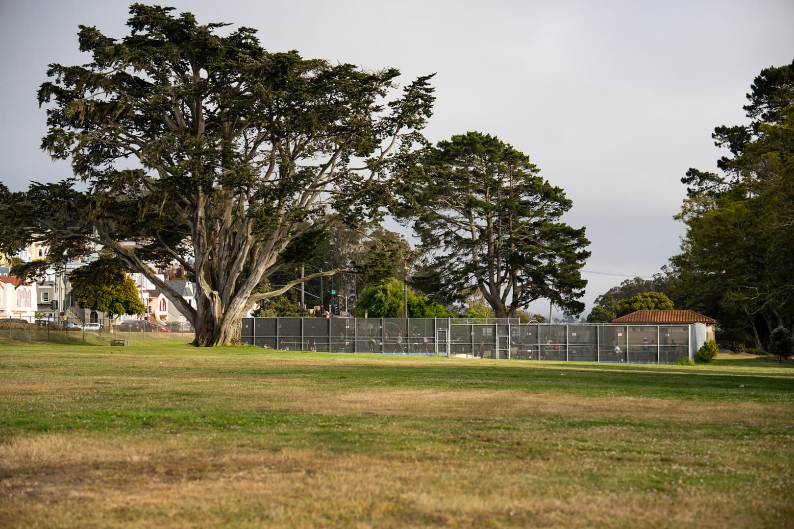 Carl Larsen Park